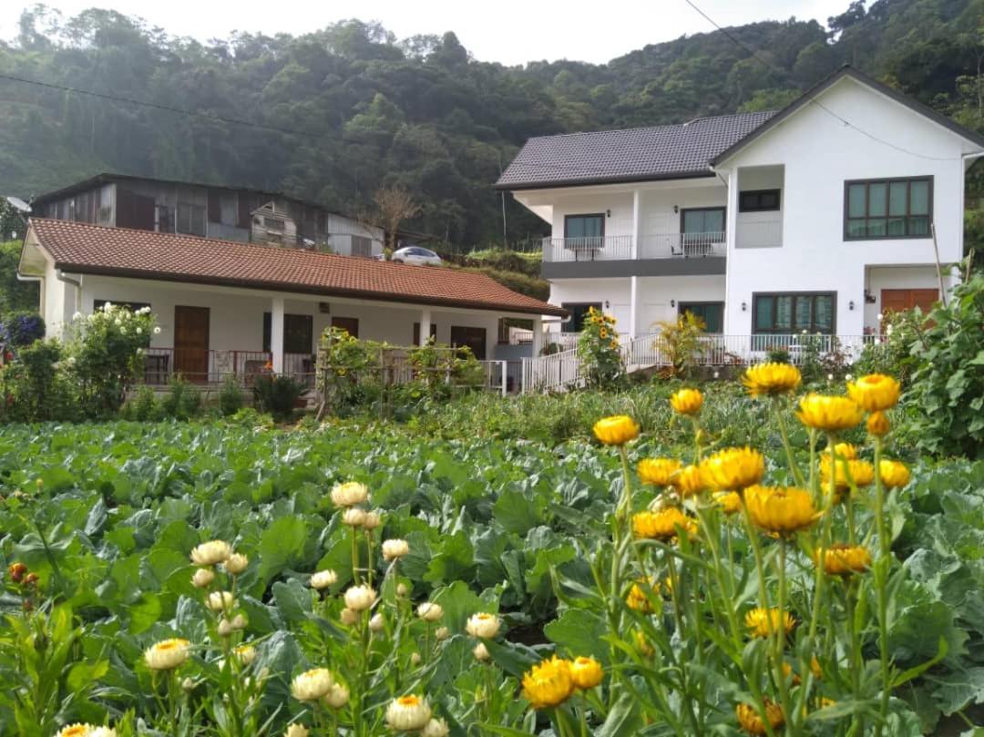 Ng Family'S Farm Stay Cameron Highlands Exterior photo